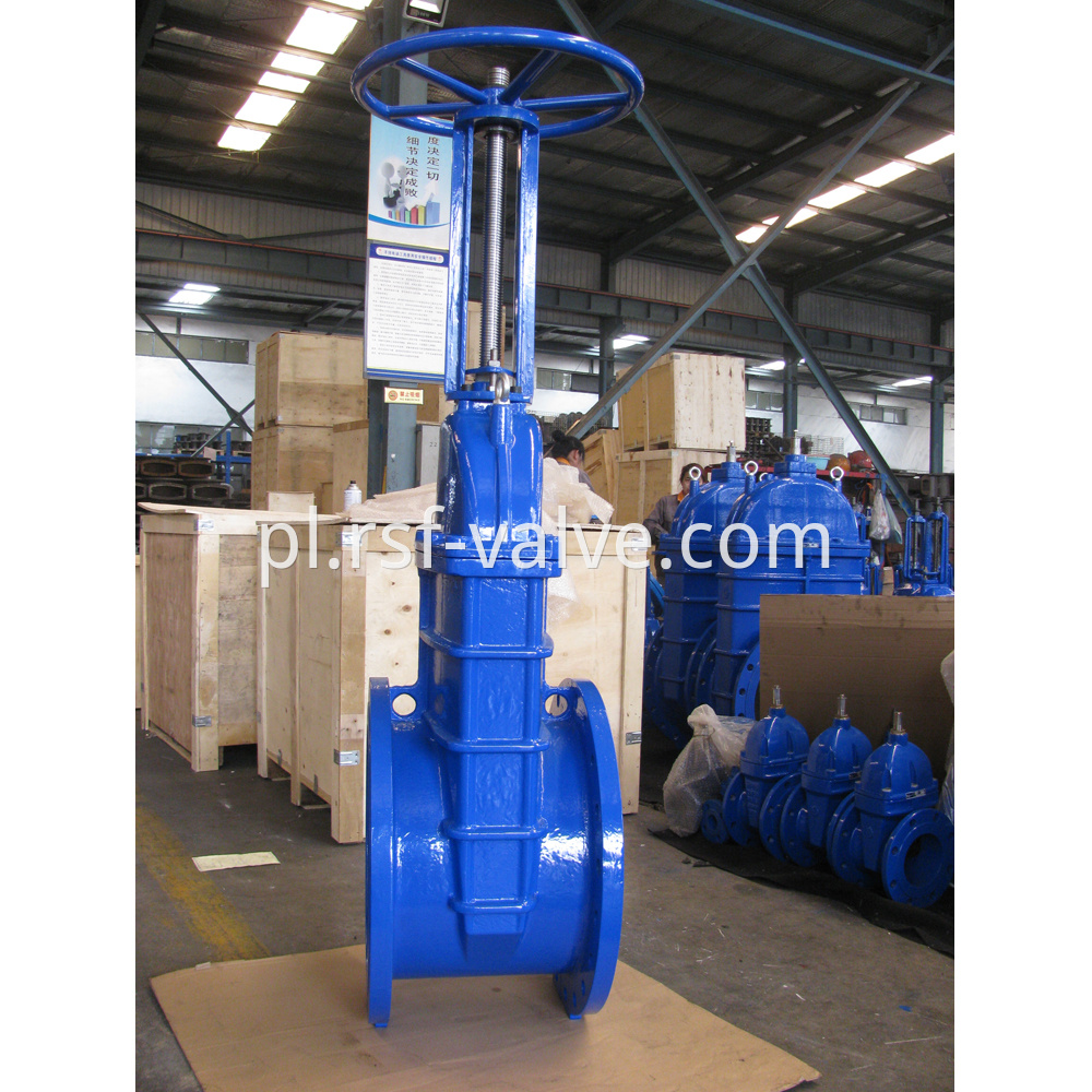 Os Y Resilient Gate Valve 2
